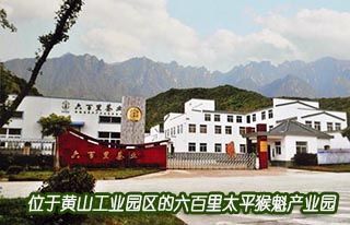 黃山六百里猴魁茶業(yè)有限公司董事長(zhǎng)鄭中明訪談錄.jpg